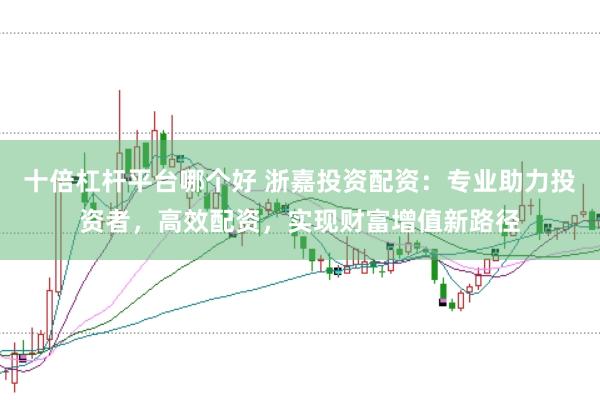 十倍杠杆平台哪个好 浙嘉投资配资:专业助力投资者,高效配资,实现财富增值新路径