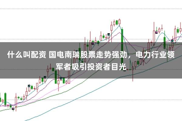 什么叫配资 国电南瑞股票走势强劲,电力行业领军者吸引投资者目光